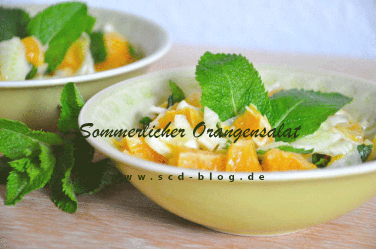 Sommerlicher Orangensalat – SCD und FODMAP in einem Rezept